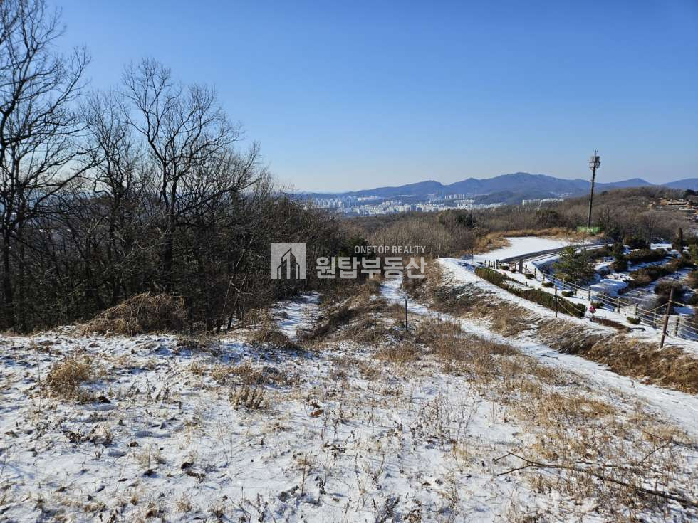 경기 용인처인구 모현읍 오산리 경기도 용인시 가족 묘지로 좋은 토지매매 용인천주교추모공원 접해 있는 토지 매매 매물번호 11237 사진 1