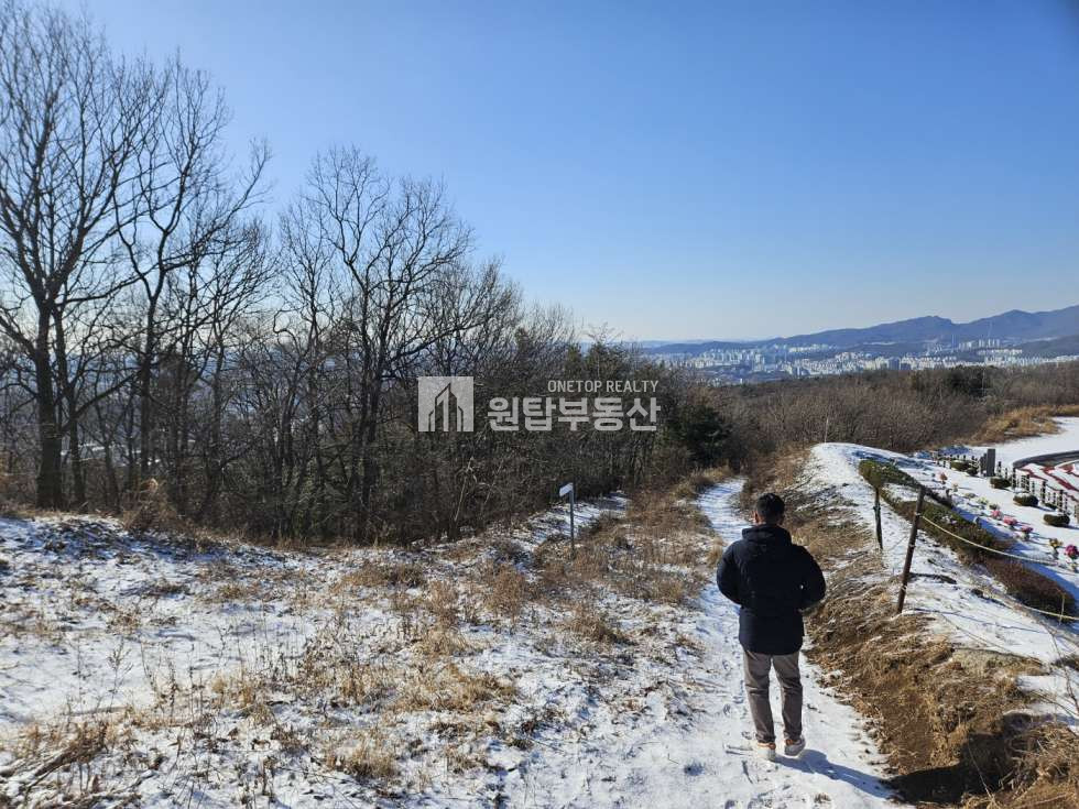 경기 용인처인구 모현읍 오산리 경기도 용인시 가족 묘지로 좋은 토지매매 용인천주교추모공원 접해 있는 토지 매매 매물번호 11237 사진 2