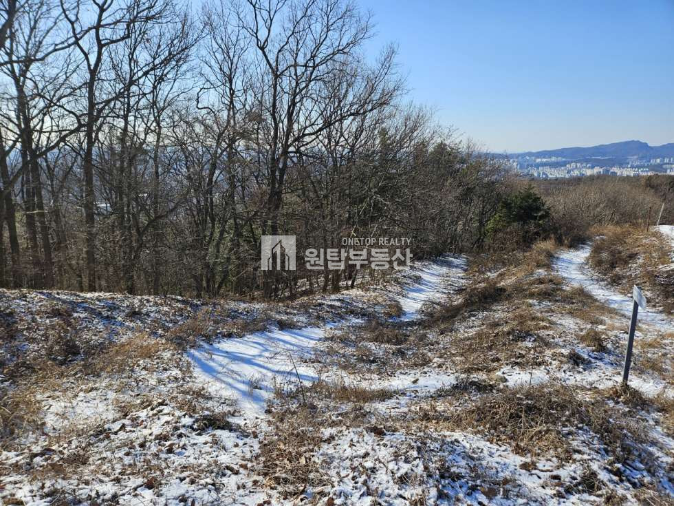 경기 용인처인구 모현읍 오산리 경기도 용인시 가족 묘지로 좋은 토지매매 용인천주교추모공원 접해 있는 토지 매매 매물번호 11237 사진 3