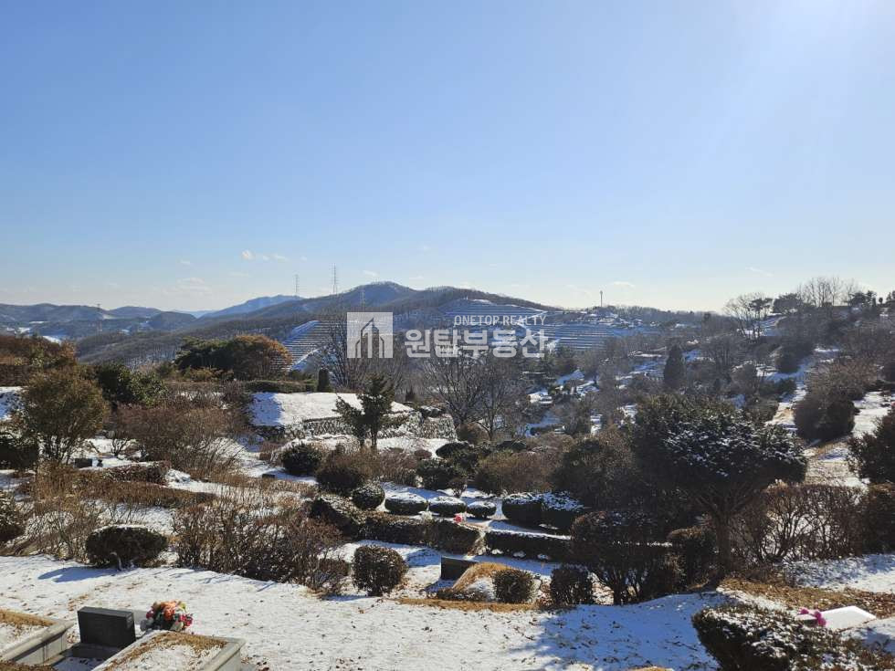 경기 용인처인구 모현읍 오산리 경기도 용인시 가족 묘지로 좋은 토지매매 용인천주교추모공원 접해 있는 토지 매매 매물번호 11237 사진 10