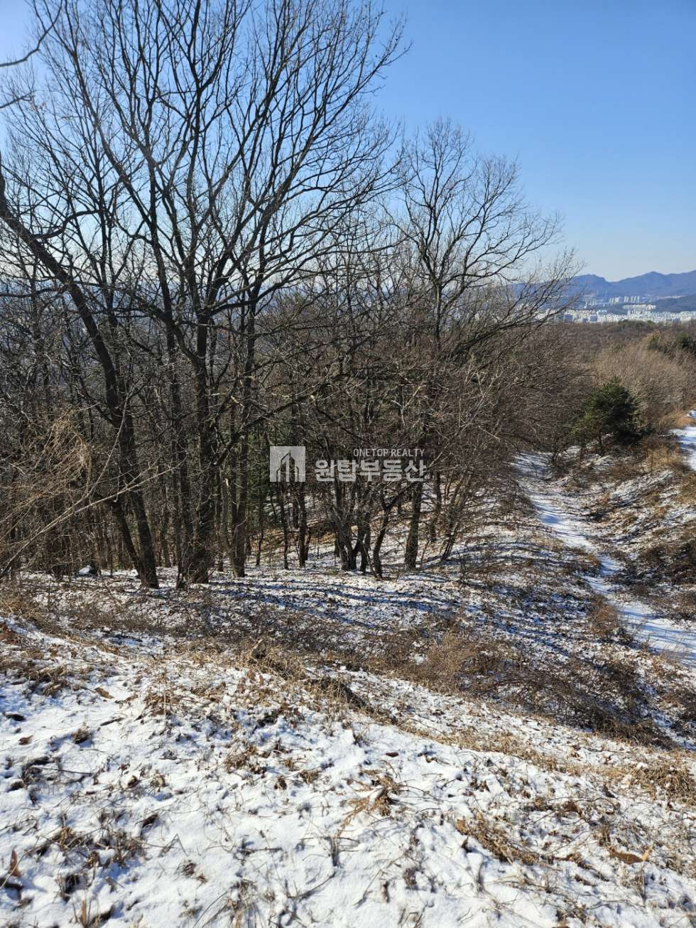 경기 용인처인구 모현읍 오산리 경기도 용인시 가족 묘지로 좋은 토지매매 용인천주교추모공원 접해 있는 토지 매매 매물번호 11237 사진 13