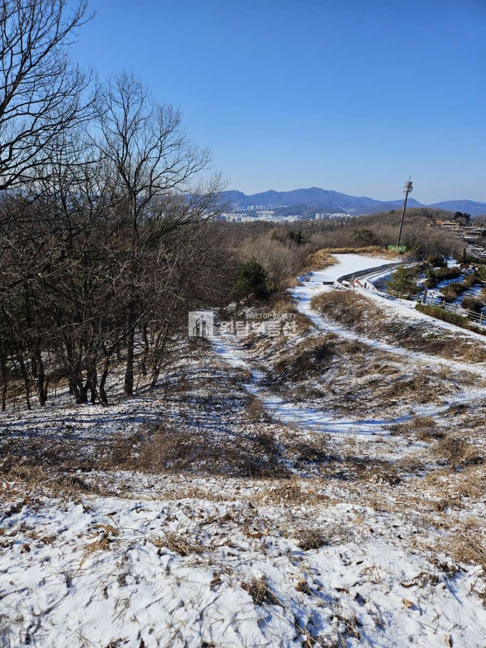 경기 용인처인구 모현읍 오산리 경기도 용인시 가족 묘지로 좋은 토지매매 용인천주교추모공원 접해 있는 토지 매매 매물번호 11237 사진 14