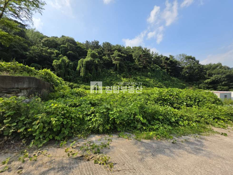 경남 창원의창구 북면 월계리 창원 의창구 북면 토지 매매 주말쉼터, 양지바른곳,건축가능한토지 매매 매물번호 11240 사진 3