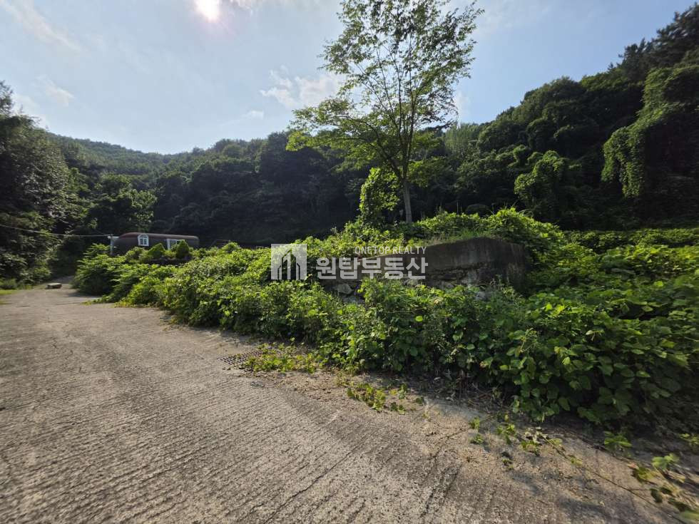 경남 창원의창구 북면 월계리 창원 의창구 북면 토지 매매 주말쉼터, 양지바른곳,건축가능한토지 매매 매물번호 11240 사진 4