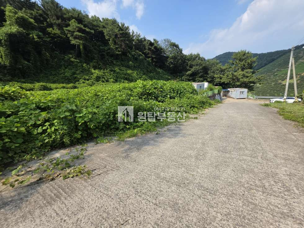 경남 창원의창구 북면 월계리 창원 의창구 북면 토지 매매 주말쉼터, 양지바른곳,건축가능한토지 매매 매물번호 11240 사진 5