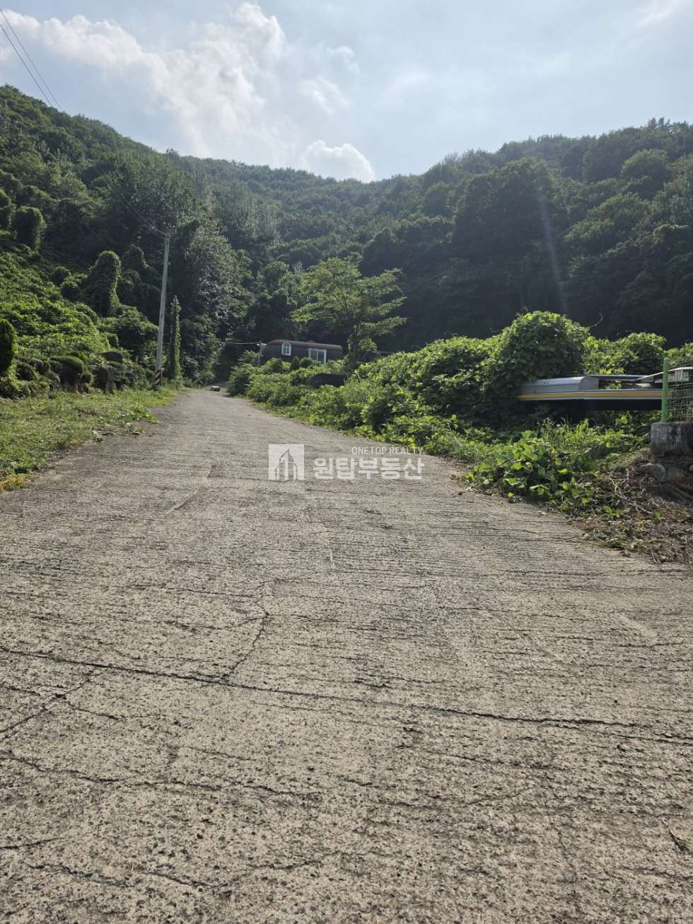 경남 창원의창구 북면 월계리 창원 의창구 북면 토지 매매 주말쉼터, 양지바른곳,건축가능한토지 매매 매물번호 11240 사진 10