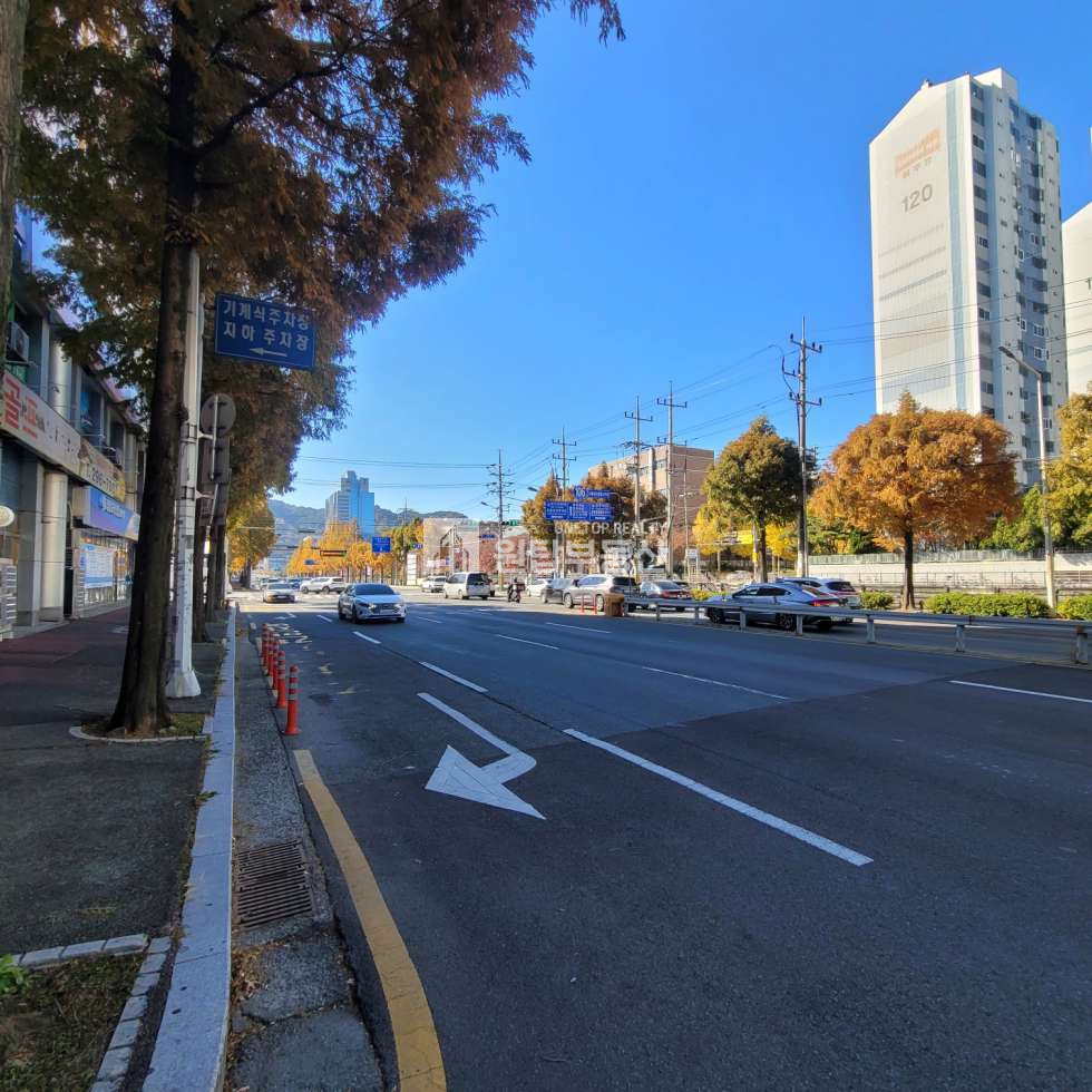 경남 창원의창구 팔용동 42-1 (웰빙프라자) 창원 팔용동 1층 상가 매매 8차선도로변접한 스타필드예정지 인근 가시성짱인곳 매매 매물번호 10903 사진 3