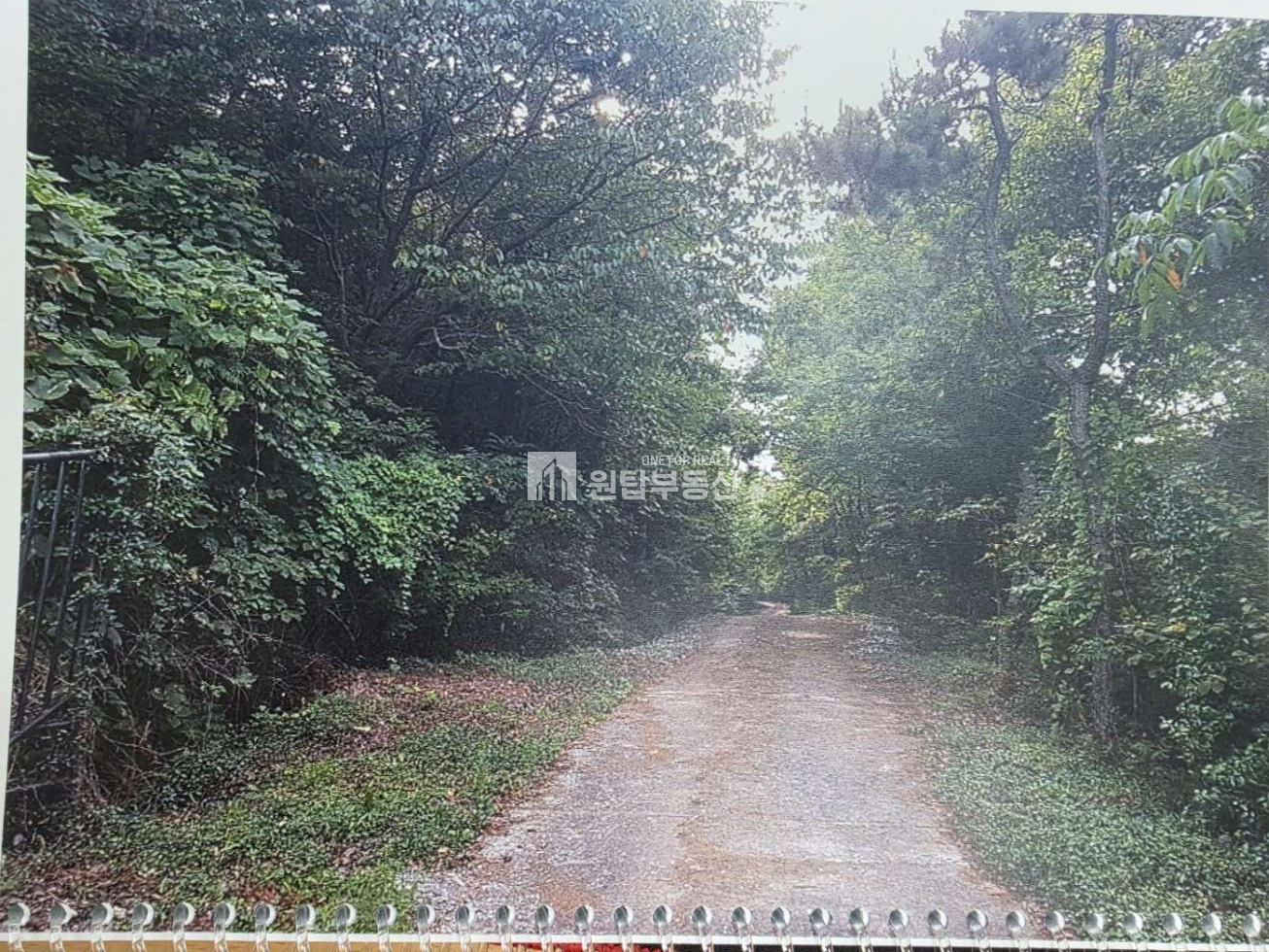 경남 통영시 산양읍 신전리 경남 통영시 산양읍 토지매매 신전리 22576py 대형토지, 토목 평지작업 다되어 있어요 매매 매물번호 11315 사진 2