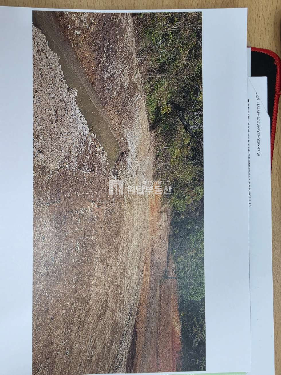 경남 통영시 산양읍 신전리 경남 통영시 산양읍 토지매매 신전리 22576py 대형토지, 토목 평지작업 다되어 있어요 매매 매물번호 11315 사진 5