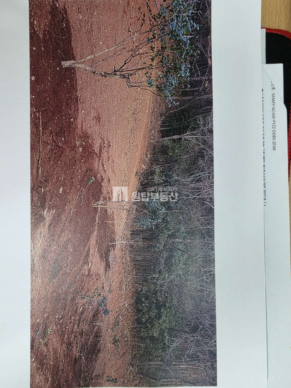 경남 통영시 산양읍 신전리 경남 통영시 산양읍 토지매매 신전리 22576py 대형토지, 토목 평지작업 다되어 있어요 매매 매물번호 11315 사진 7