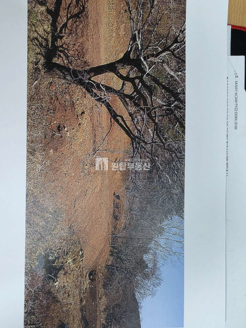 경남 통영시 산양읍 신전리 경남 통영시 산양읍 토지매매 신전리 22576py 대형토지, 토목 평지작업 다되어 있어요 매매 매물번호 11315 사진 8