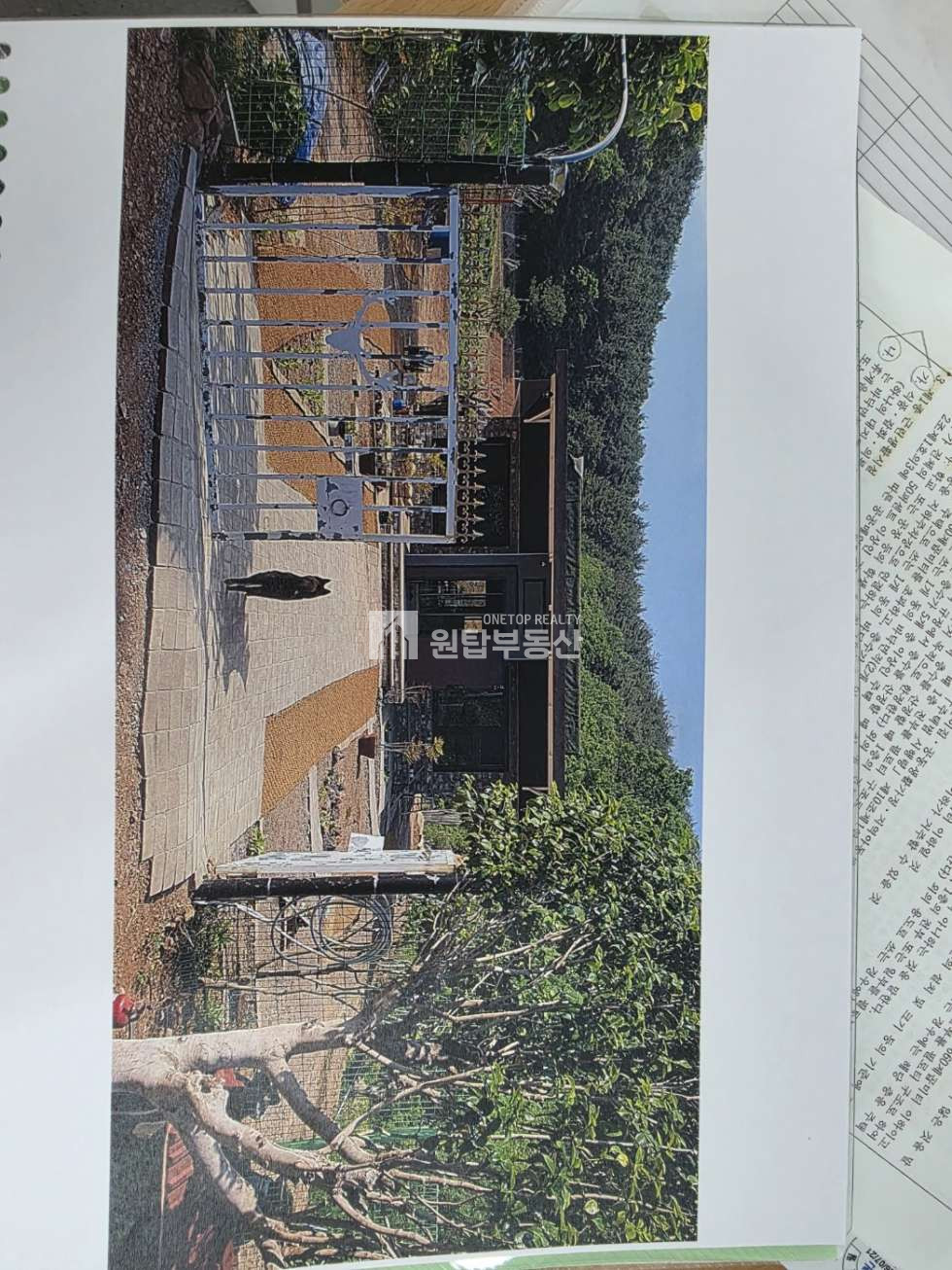경남 통영시 산양읍 신전리 경남 통영시 산양읍 토지매매 신전리 22576py 대형토지, 토목 평지작업 다되어 있어요 매매 매물번호 11315 사진 13