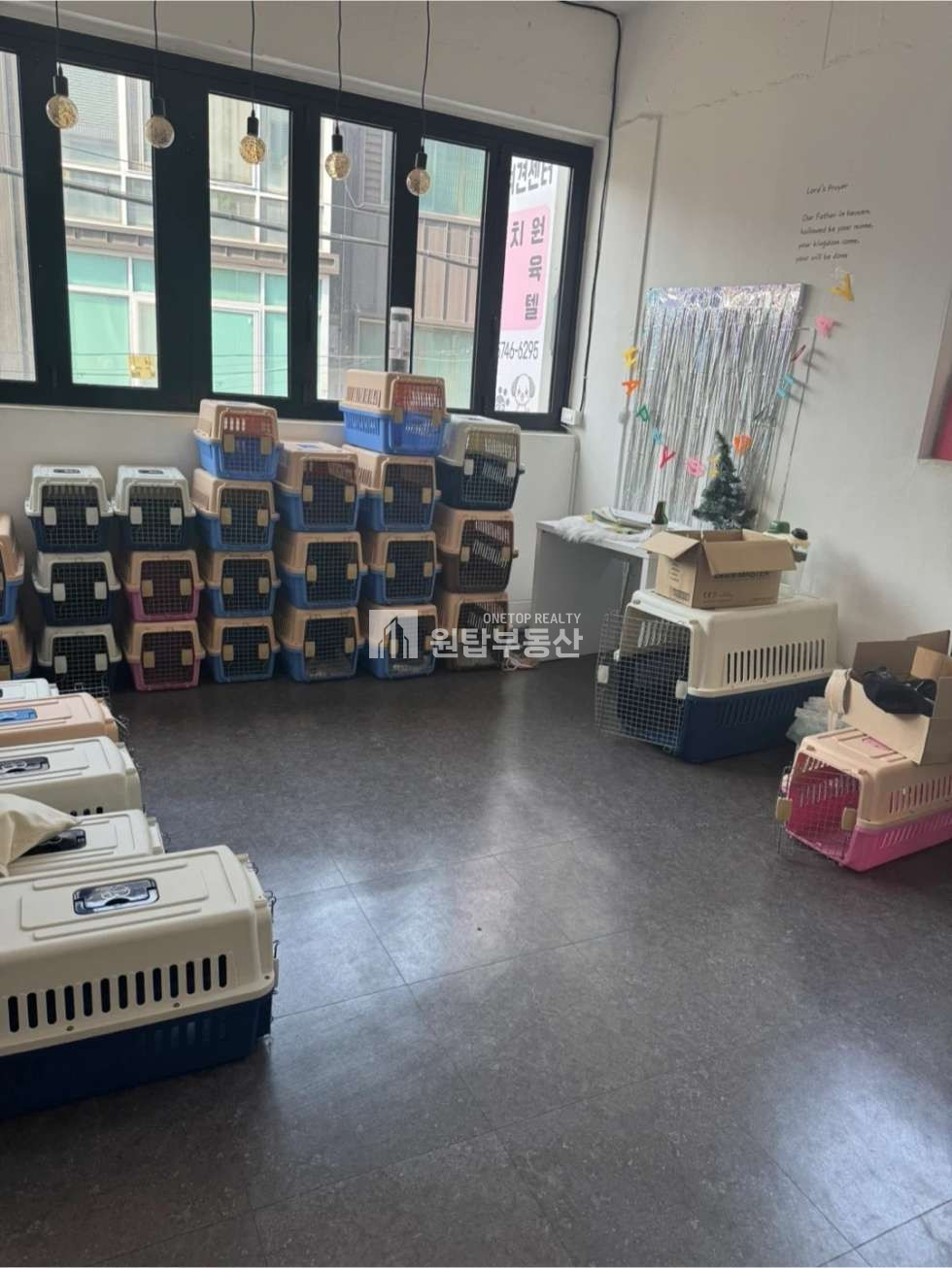 경남 창원의창구 소답동 창원 소답동 임대 / 루프탑사용가능 / 현재 애견업종 월세 매물번호 11425 사진 6